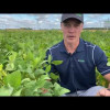 Embedded thumbnail for 4858