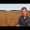 Embedded thumbnail for 0371