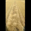 Embedded thumbnail for 1723