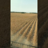 Embedded thumbnail for Foote R2
