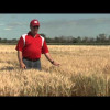Embedded thumbnail for AAC Brandon