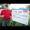 Embedded thumbnail for AAC Cabri