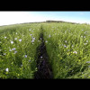 Embedded thumbnail for CDC Glas 