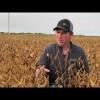 Embedded thumbnail for 0371