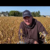 Embedded thumbnail for N447