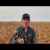 Embedded thumbnail for 0371