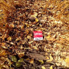 Embedded thumbnail for Foote R2