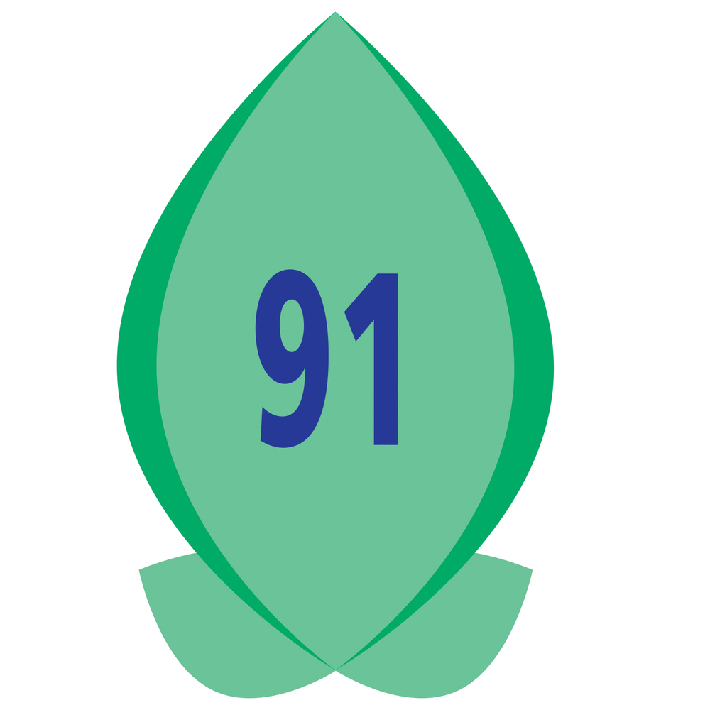 pbr-91-logo
